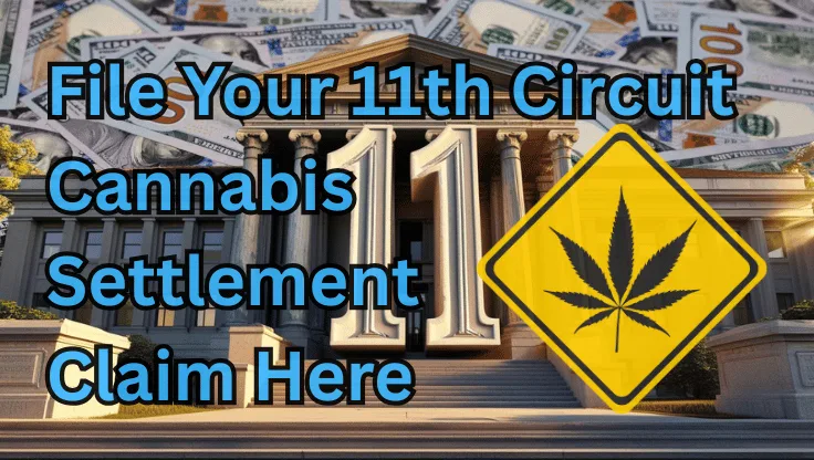 File Your 11th Circuit Cannabis Settlement Claim Here text on depiction of Eleventh Circuit court with psychological warning and a high-value cash backdrop.