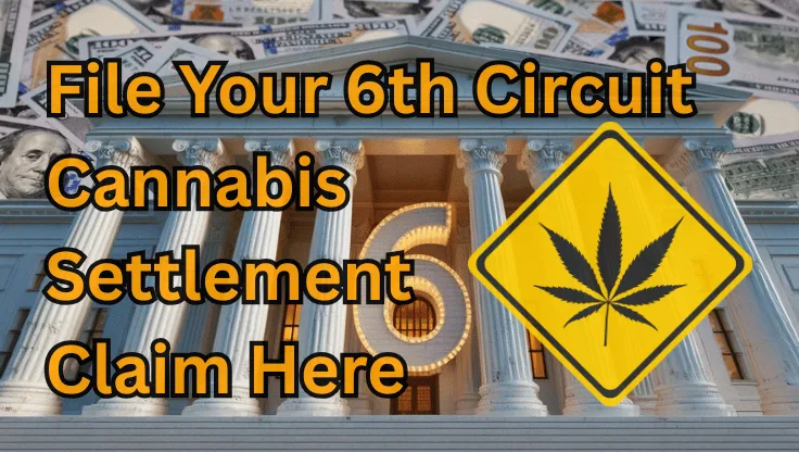 File Your 6th Circuit Cannabis Settlement Claim Here text on depiction of Sixth Circuit court with psychological warning and a high-value cash backdrop.