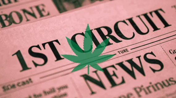 1st Circuit Cannabis News headline featuring a psychological marijuana leaf.