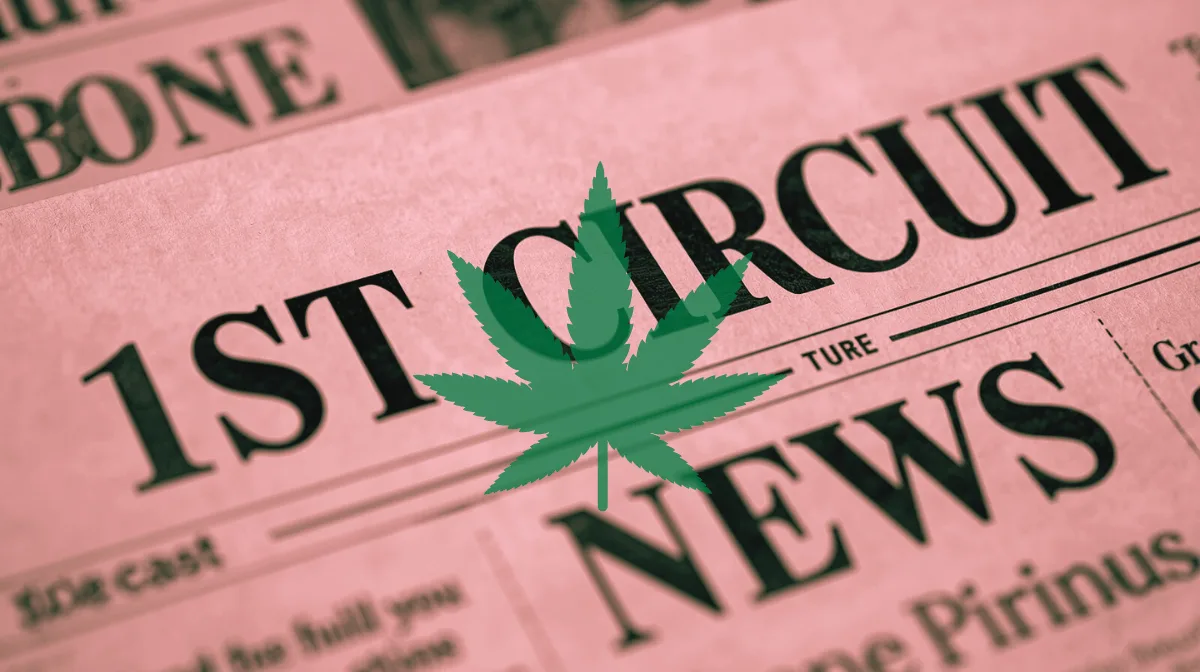 1st Circuit Cannabis News headline featuring a psychological marijuana leaf.
