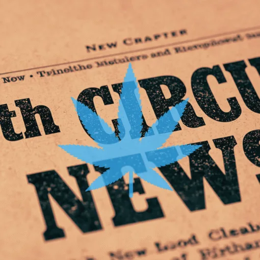 10th Circuit Cannabis News headline featuring a psychological marijuana leaf.