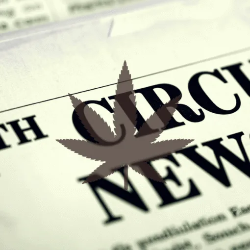 11th Circuit Cannabis News headline featuring a psychological marijuana leaf.