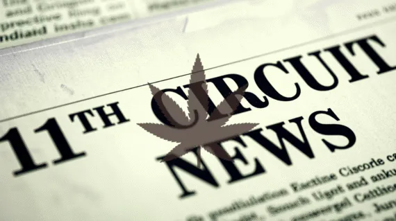 11th Circuit Cannabis News headline featuring a psychological marijuana leaf.