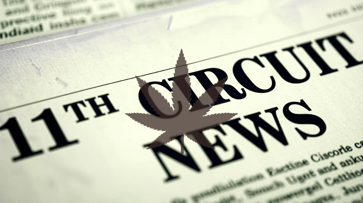 11th Circuit Cannabis News headline featuring a psychological marijuana leaf.