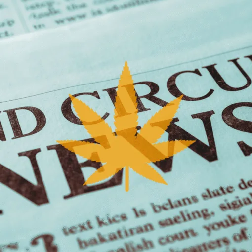 2nd Circuit Cannabis News headline featuring a psychological marijuana leaf.
