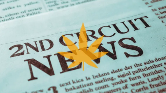 2nd Circuit Cannabis News headline featuring a psychological marijuana leaf.