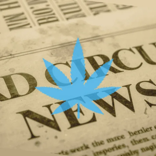 3rd Circuit Cannabis News headline featuring a psychological marijuana leaf.