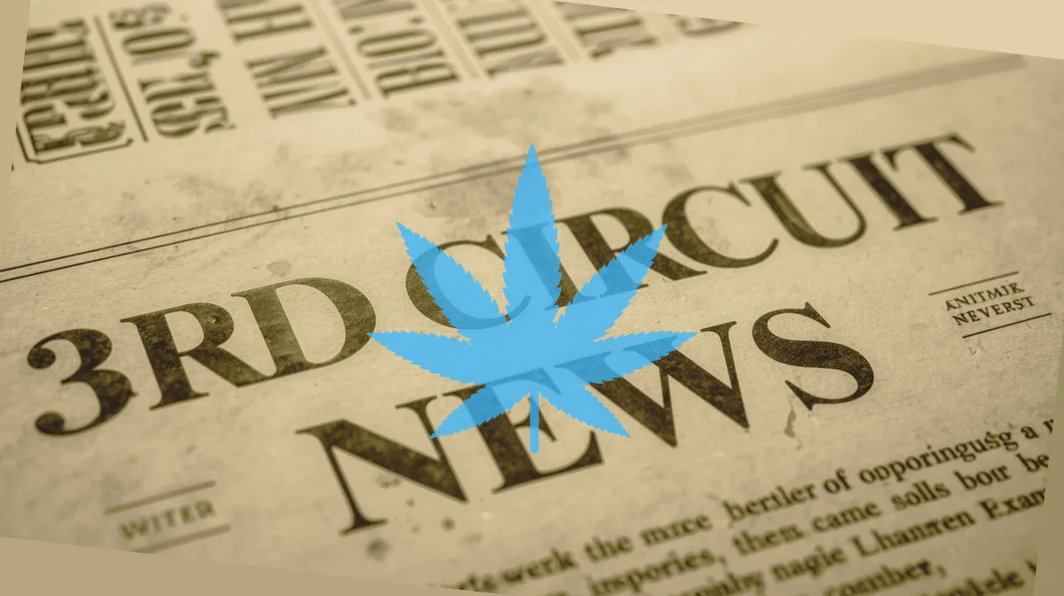 3rd Circuit Cannabis News headline featuring a psychological marijuana leaf.