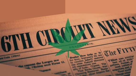 6th Circuit Cannabis News headline featuring a psychological marijuana leaf.