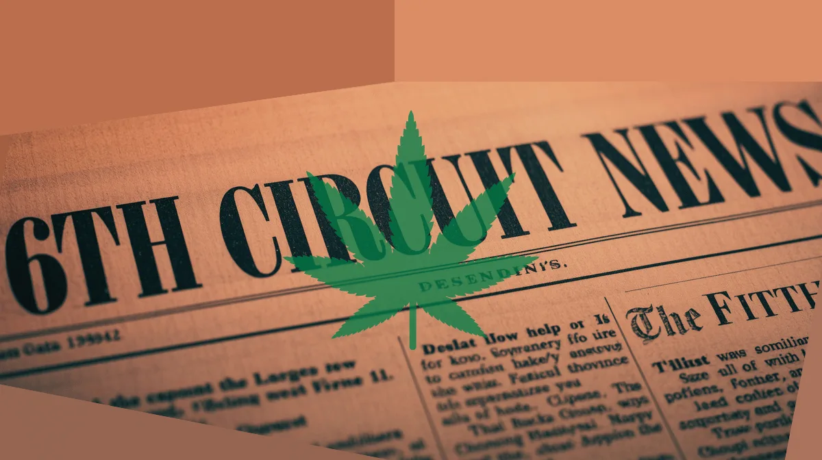 6th Circuit Cannabis News headline featuring a psychological marijuana leaf.