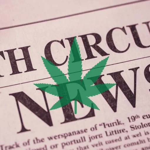 8th Circuit Cannabis News headline featuring a psychological marijuana leaf.