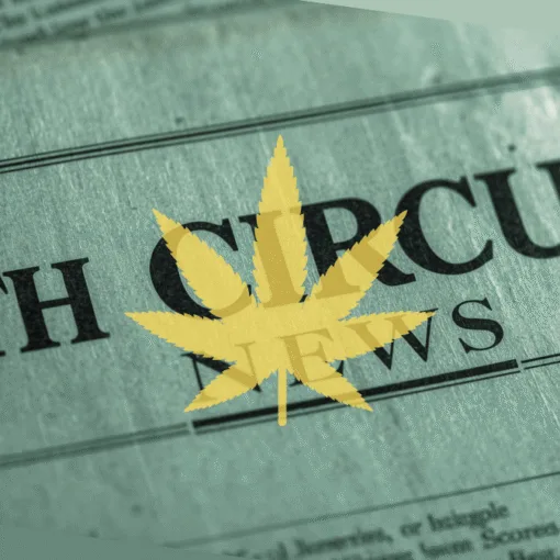 9th Circuit Cannabis News headline featuring a psychological marijuana leaf.