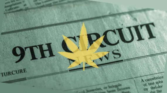 9th Circuit Cannabis News headline featuring a psychological marijuana leaf.